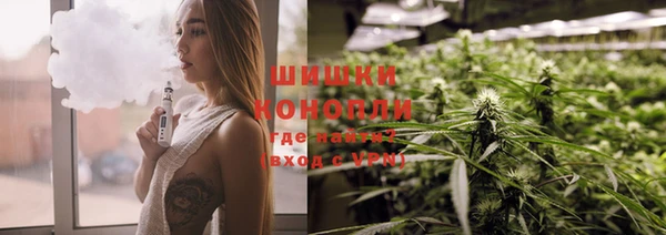 сатива Михайловка